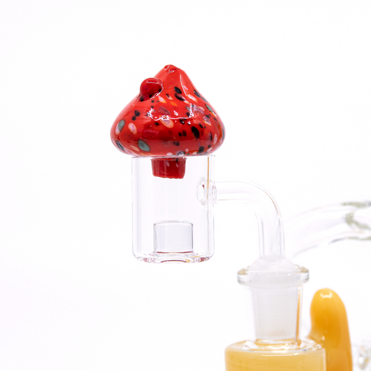 Carb Cap Diseños