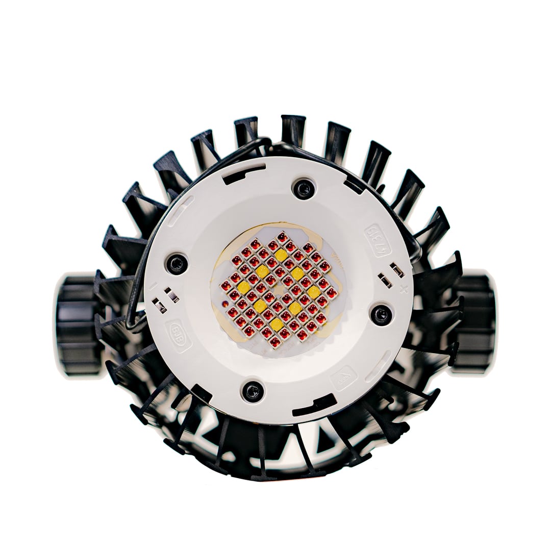 Led Blackcob RS150